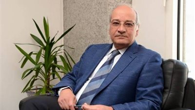 محافظ البنك المركزي الأسبق يوضح رأيه في الوضع الاقتصادي الحالي | فيديو