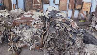 حملة أمنية لضبط المصانع والمخازن العشوائية في المنوفية | صور 