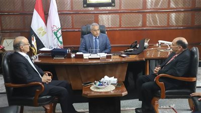 حسن شحاتة: القيادة السياسية توجه برعاية وحماية العمالة المصرية بالخارج 