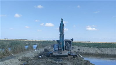 بمساحة 52 فدانا.. إزالة مزارع سمكية مخالفة في الدقهلية | صور