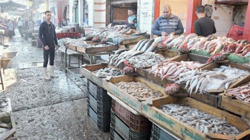 أسعار الأسماك اليوم