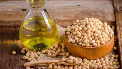 بعد زيادة أسعار الحبوب وزيت الصويا.. مقترحات رجال الأعمال لتقليل تكلفة الاستيراد