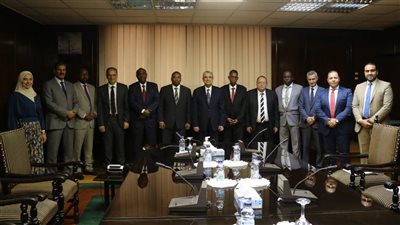 شاكر يبحث مع وزير الطاقة الجيبوتي سبل التعاون بين البلدين 