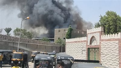 الدفع بـ٣ سيارات إسعاف في حريق مصنع قطن بحلوان