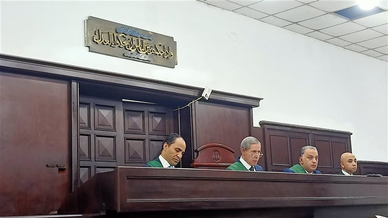 جنايات المنصورة الدائرة