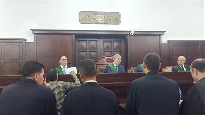 إحالة أوراق المتهمين الرئيسيين في قضية مقتل الطفلة روجينا للمفتي 