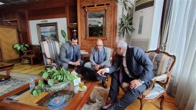 وزير الري ومحافظ الوادي الجديد يبحثان منظومتي العدادات الذكية والطاقة الشمسية على الآبار