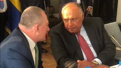 سامح شكري يلتقي وزير البيئة الجابوني | صور