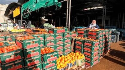 مطابقة للمواصفات لكن هذا مايحدث.. خبراء يكشفون سر رفض بعض الدول للمنتجات المصرية