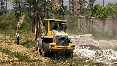 إزالة 45 حالة تعد على أملاك دولة وزراعة ضمن الموجة 20 بأسيوط 