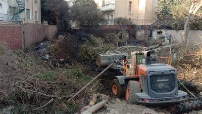 رفع مخلفات من 7 أحياء بالجيزة وتشجير شوارعها | صور