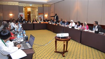 التنمية المحلية: إعداد قانون للتنمية البشرية بأفريقيا