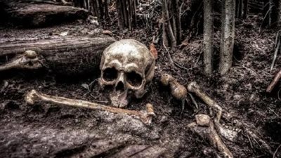 العثور على هيكل عظمي عمره 1000 عام