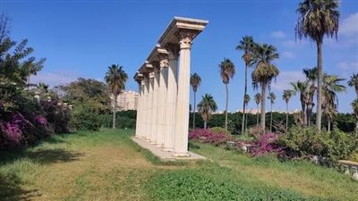 محافظ الإسكندرية يكشف حقيقة هدم حديقة أنطونيادس | فيديو