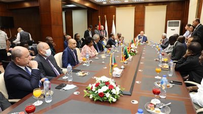 محافظ القاهرة يستقبل وزراء التنمية المحلية الأفارقة