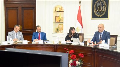 وزيرة الهجرة: نبحث تقديم محفزات لتشجيع المصريين بالخارج على الاستثمار في وطنهم