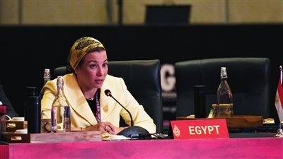 وزيرة البيئة تطالب بتحديث خطط خفض الانبعاثات والوفاء بالتزامات تمويل المناخ