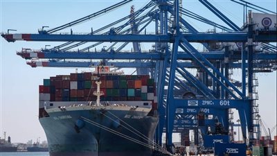 تداول 30 سفينة بضائع بميناء دمياط 