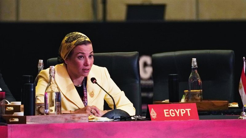 الدكتورة ياسمين فؤاد