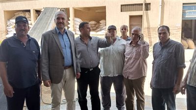 الزراعة تعلن بدء توزيع تقاوى القمح والفول وكافة المحاصيل الشتوية بمنافذها