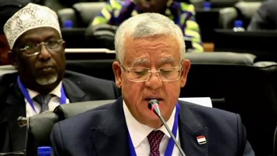 رئيس النواب: مصر حريصة على تقديم الدعم للأشقاء الأفارقة لتحقيق الاكتفاء الذاتي 