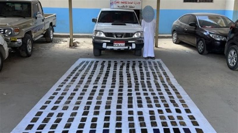 مخدر الحشيش - المضبوطات