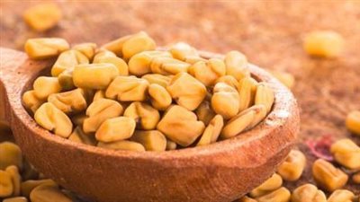 فوائد الحلبة.. تسيطر على معدلات السكر والكوليسترول في الدم 