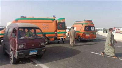 سرق التوك توك.. العثور على عشريني مصاب بطريق زراعي في الدقهلية 