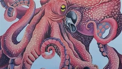 رسام تونسي يعرض رسوماته على الجدران القديمة في 24 محافظة