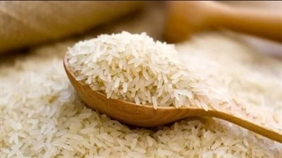 بعد تحديد سعر رسمي للأرز.. تعرف على عقوبات الاحتكار ورفع الأسعار بالقانون
