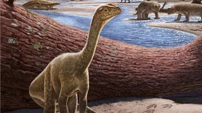 زيمبابوي.. اكتشاف أقدم ديناصور في إفريقيا عمره 230 مليون عام