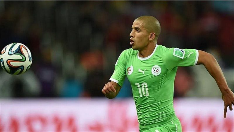 فيجولي, فيتو 