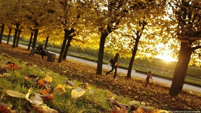 أول ظواهر الخريف، تساوي ساعات الليل والنهار بالقاهرة في هذا الموعد 