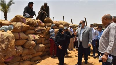  انتهاء موسم توريد القمح بأسيوط بإجمالي 170 ألفا و264 طن 