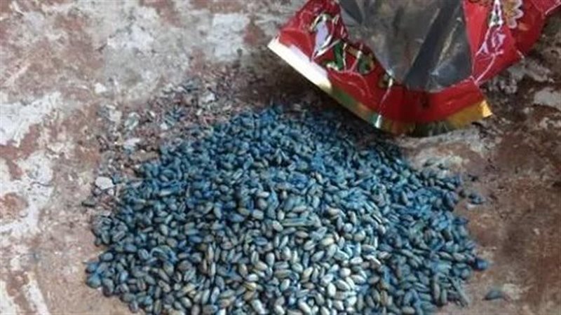 حبوب حفظ الغلال
