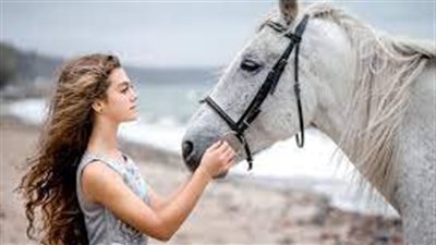 معنى رؤية الحصان الأبيض في المنام وعلاقته بتخطي الصعاب وتجاوز المشاكل 