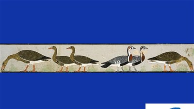 بمناسبة مرور 200 عام على نشأة علم المصريات.. تعرف على قطعة أوز ميدوم