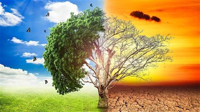 طاقة النواب: الاقتصاد الأخضر الحل لمواجهة التغيرات المناخية 