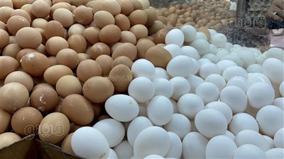 تاجر بيض: الأسعار مرشحة للارتفاع بسبب غلاء العلف | فيديو