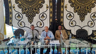 إقبال متوسط على انتخابات النقيب العام للمحامين بلجان الإسماعيلية | صور