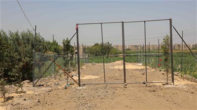 إزالة قاعة تصوير مخالفة بالطريق الدائري بالمنيا