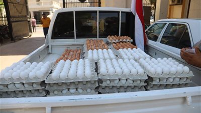 الزراعة تطرح بيض المائدة في منافذها بأسعار مخفضة