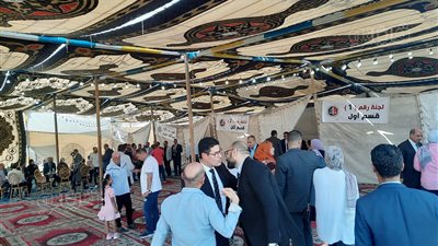 زيادة الإقبال لانتخاب نقيب المحامين بلجان الإسماعيلية | صور