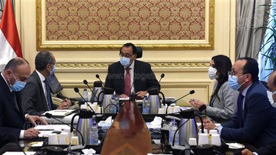 الوزراء: تقديم خدمات الألياف الضوئية لـ 7.5 مليون منزل مستخدم للإنترنت 