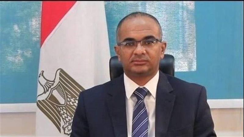 د. سيد اسماعيل نائب