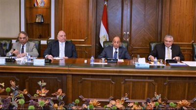 وزير الطيران يبحث الإجراءات الأمنية والتدابير الاحترازية بالمطارات