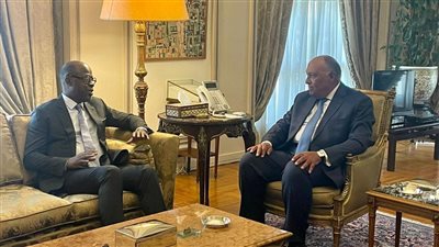 وزير الخارجية يستقبل رئيس الدورة الـ15 لمؤتمر أطراف اتفاقية الأمم المتحدة لمكافحة التصحر