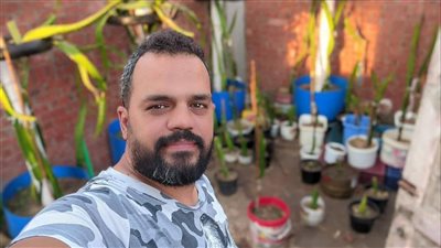 زراعة فاكهة سعرها 700 جنيه للكيلو.. شاب يحول سطح  بمنزله إلى مشروع مربح ببنها