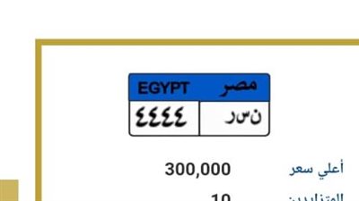 نسر بـ 300 ألف جنيه.. لوحات معدنية مميزة تدخل المنافسة