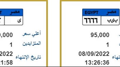 750 ألف جنيه.. أرقام صادمة لأسعار اللوحات المعدنية vip